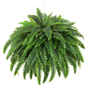 hAmbJ[ Dkaltm Single Silky Artificial Boston Fern Bush, 49Inch Large Artificial Ferns for Outdoors, Large Faux Ferns Artificial Plants,Suitable for Decorating Office, Living Room Faux Greenery,95Branches ysAiz