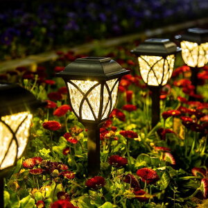 K[fCgLED\[[Cg \[[p[ GIGALUMI Solar Lights Outdoor Waterproof, 6 Pack LED Solar Garden Lights, Outdoor Decorations, Garden Decor for Yard, Patio, Landscape, Planter, Walkway (Warm White) ysAiz