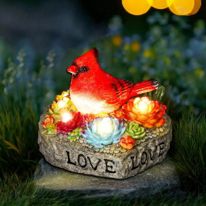 K[fCgLED\[[Cg \[[p[ Jiasku Solar Cardinal Statue Memorial Heart Figurine Light - Red Bird Garden Decor with Succulents LEDs, Waterproof Outdoor Solar Ornament Romantic Gifts for Women Mom Grandma ysA