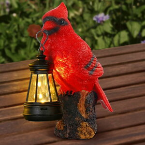 �K�[�f�����C�gLED�\�[���[���C�g �\�[���[�p���[ Suzile Cardinal Garden Statue with Solar Lantern 6.3 Solar Light for Outside Cardinal Garden Decor Sculptures & Statues Lights for Lawn Decor Unique Ornament Gift for Women Mom �y���s