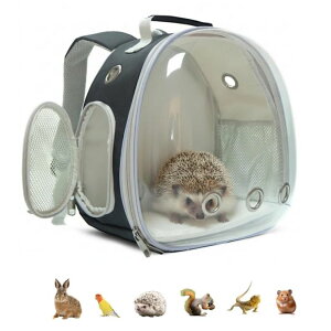 �C���R ���� �o�[�h �g���x���L�����A�[ Small Animal Carrier Guinea Pig Backpack,Transparent, Breathable Backpack Carrier for Hedgehogs, Rabbits, Birds, Squirrels, Hamsters, Lizards Comfortable, Portable Travel Bag for Small Pets (Bl �y��