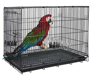 �C���R ���� �o�[�h �g���x���L�����A�[ Large Durable Metal Travel or Veterinary Easy Collapsable Parrot Bird Carrier Beaks Proof Carrier Cage Easy Clean Pull Out Tray Stainless Steel Feeder Bowls Natural Wooden Perch �y���s�A���i�z