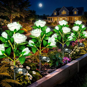 �K�[�f�����C�gLED�\�[���[���C�g �\�[���[�p���[ Anordsem Solar Garden Lights Outdoor: 20 Artificial Fabric White Roses Flowers 4 Pack- LED Flower Decorations for Cemetery Grave Pathway Yard- Valentine's Day Gifts for Women, Wife and �y
