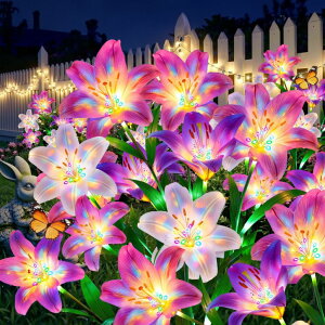 �K�[�f�����C�gLED�\�[���[���C�g �\�[���[�p���[ BONLION Solar Lights Outdoor Garden Decor - 6 Pack Solar Flowers with 30 Heads Colorful Lily Lights & Glowing Stems, Brighter Waterproof Decorative Garden Lights for Yard, Patio, Flowe �y