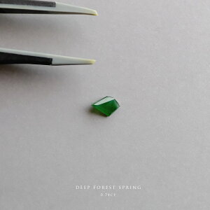 ŐiqXCj[X (0.74ct/O[ŐjwDEEP FOREST SPRINGxt@Zbg _ i ~}[YVRЂ WF_Cg d F 5a  Mtg v[g Z~I[_[ 