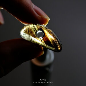 yꂵH[z I ʁǔv( 28.6mm / čA[JTXB )  {  nhCh _ p[Xg[  N ܂ Mtg v[g i N