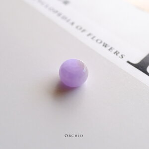 Ő (qXC) p[cE[XwORCHIDx㎿sNx_[Ő ~}[YVRЂ _   i F d i` WF_Cg lbNX `[ v[g 