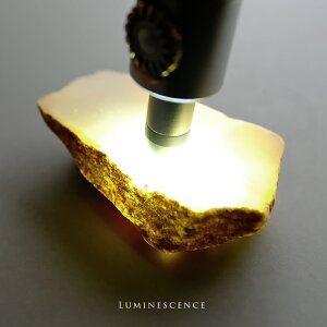 Ő (qXC) ΁wLUMINESCENCEx~}[YVRЂ VR _ F i d i`WF_Cg 5a   Mtg v[g p[Xg[ N a