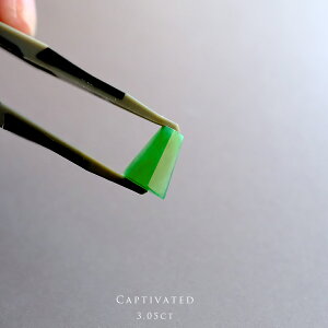 ŐiqXCj[X (3.05ctjCAPTIVATEDxNŐ _ i ~}[YVRЂ WF_Cg d F 5a  Mtg v[g Z~I[_[ j a LO  