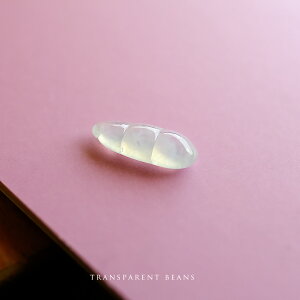 Ő (Ђ) y_ggbv wTRANSPARENT BEANSxXŐ  _ F i WF_Cg ~}[Y VR d i`  p[Xg[  5a N Mtg v