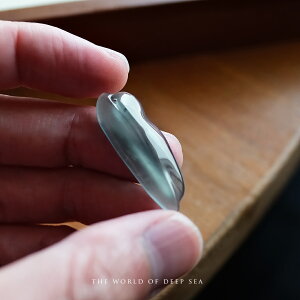 Ő(qXC) y_ggbv wTHE WORLD OF DEEP SEAxACV[u[Ő OAe}Y _ VRЂ i F i` d WF_Cg   Mtg v[g 5