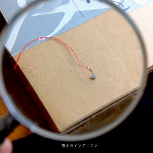 yꂵH[z Ő (qXC) ʁwQ̃CfBAx (3.4mm/ACV[O[Ő) {   ~}[YVRЂ _ F WF_Cg d 5a  p