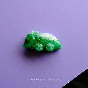 Ő (qXC)  y_ggbvwVIVID GREEN CAMELEONxzCgO[Ő JI ~}[YVRЂ _  i F i` d WF_Cg v[g 