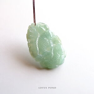 Ő (Ђ)  y_ggbvwLOTUS PONDxACV[O[Ő   @ _ F i WF_Cg ~}[Y VR d i`  p[Xg[  5a