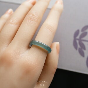 Ő (qXC) ʂOwUMIUTAx ( 14 / ACV[u[O[Ő ) OAe}YVRЂ  w i`WF_Cg d F i _ 5a   j