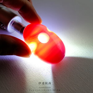 yꂵH[z Ip[KXiTZbgIp[j ΓJwɒBHx(47.8mm) {  _  Mtg v[g i N yz