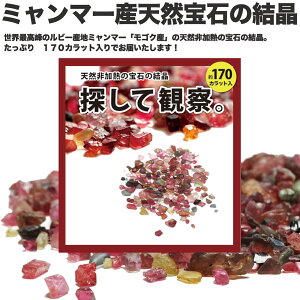 yʌzwTĊώ@x(΂̌~bNX W{ 170ct)N[|ΏۊȌiłBTΔ ~}[Y i` M ΂ґɋlߍ킹 ~}[Y VR r