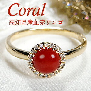 yzK18YG 嗱 ԃTS _Ch OymYz Y TS X S[h 18 iۏ؏ fB[X WG[ Mtg 蕨   g K^  