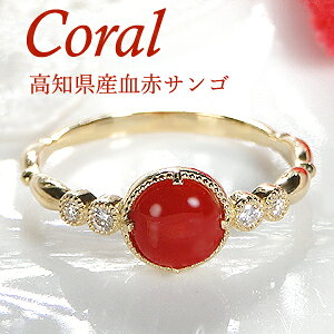 yzK18YG 嗱 ԃTS _Ch OymYz Y TS X S[h 18 iۏ؏ fB[X WG[ Mtg 蕨   g K^  