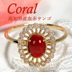 yzK18YG 嗱 ԃTS _Ch OymYz Y TS X S[h 18 iۏ؏ fB[X WG[ Mtg 蕨   g K^  