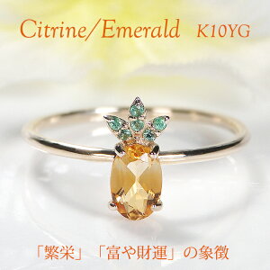 yzK10YG Vg^Gh pCibv`[t O萔 iۏ؏t K10 CG[S[h 10 w J[Xg[ F fB[X WG[ Pineapple 