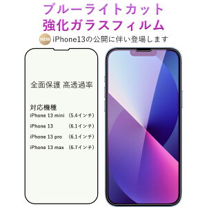 iPhone13�V���[�Y�ɑΉ� iPhone �t�B���� �u���[���C�g�J�b�g iPhone ���� �K���X�t�B���� �������ߗ� ���{���Ɏq�f�� ���x9H �������� �w��h�~ ��U�h�~ iPhone13 Max Mini �t���ی�t�B���� ���ȋz��