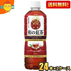 yzATq a̍g Y݂͂d 600mlybg{g 48{(24{×2P[X) Xg[geB[ ag Yt100 asahi2505 kC800~Ek400~̕ʓrZ [39Vbv]