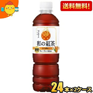 yzATq a̍g ACXeB[ 500mlybg{g 48{(24{×2P[X) Xg[geB[ ag Yt100 J[[ 2504 kC800~Ek400~̕ʓrZ [39V