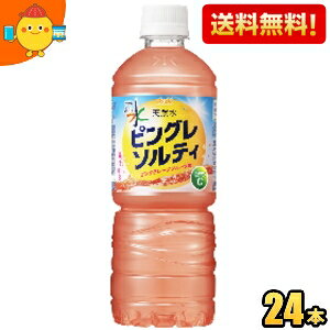 yzATq  VR sO\eB 600mlybg{g 24{ ~lEH[^[ VR Y Y MǑ΍ t[o[EH[^[ sNO[vt[c 2504 