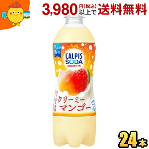 JsX\[_ N[~[}S[ 500ml×24{ PET