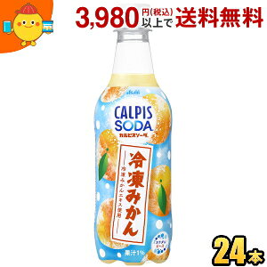 ATq JsX\[_ Ⓚ݂ 450mlybg{g 24{ st2505