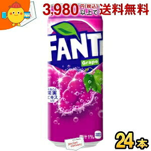 RJER[ (O) t@^ O[v 500mlʃ^Cv 24{ (RJR[ Fanta)