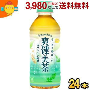 RJER[ u 300mlybg{g 24{ (RJR[)