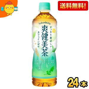 期間限定特価★【送料無料】コカ・コーラ 爽健美茶 600ml増量ペットボトル 24本入 (コカコーラ) ※北海道800円・東北400円の別途送料加算 cocaitem