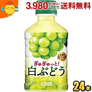 _Ch[ ガƁI Ԃǂ 280mlybg{g 24{ st2505