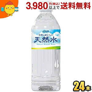 _Ch[ {̂VR 500mlybg{g 24{ ~lEH[^[  { mˎs̐ st2505