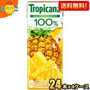 yzL gsJ[i100 pCAbv 250mlpbN 96{(24{×4P[X) ʏ`100% pCibv pC W[X kC800~Ek400~̕ʓrZ [39Vbv]