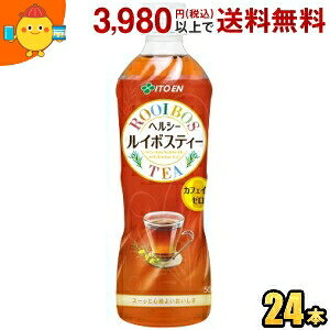 ɓ wV[C{XeB[ 600mlybg{g 24{ (Y݌v)