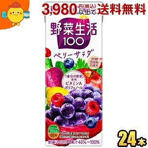 yzJS ؐ100 x[T_ 200mlpbN 24{ (؃W[X GiW[[c)