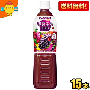 yzJS ؐ100 x[T_ 720mlybg{g 15{ (؃W[X GiW[[c ̖؂烊j[A)kC800~Ek400~̕ʓrZ