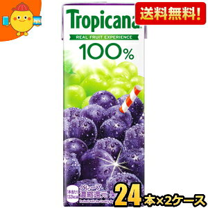 yzL gsJ[i100 O[v 250mlpbN 48{(24{×2P[X) ʏ`100% Ԃǂ kC800~Ek400~̕ʓrZ [39Vbv] kirin2024cp