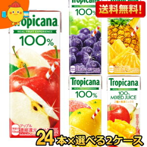 yz L gsJ[i100%W[X 250mlpbN Iׂ48{(24{×2P[X) O[vt[c Abv pCibv }S[uh kC800~Ek400~̕ʓrZ