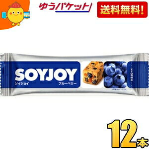 �䂤�p�P�b�g�������� ��ː��� SOYJOY�i�\�C�W���C�j �u���[�x���[ 12�{��