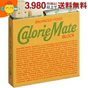 ː 4{J[Cg ubN t[c 10