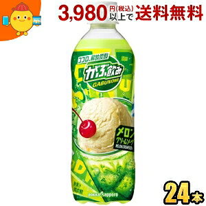 |bJTb| Ԉ N[\[_ 500mlybg{g 24{