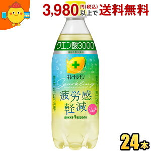 Gg[őSi|Cg5{|bJTb| L[gXp[NO NG_3000 500mlybg{g 24{ @\\Hi Jy