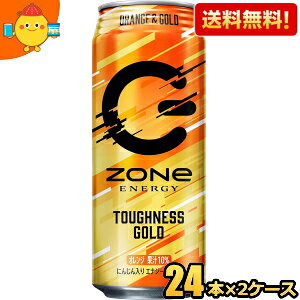 48 炭酸飲料 エナジードリンク zone 500ml」の人気商品一覧・価格比較 