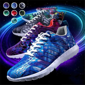 Y Xj[J[ C fB[XXj[J[ [Jbg Jbv  2017lC bVC [XAbv