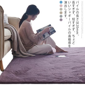 シャギーラグ カーペット 洗える 約120×160cm 1畳 長方形 厚手 ラグマット ホットカーペット対応 滑り止め 絨毯 じゅうたん 北欧 低反発 グレー ホワイト ベージュ ピンク かーぺっと 敷物 ラグ おしゃれ 2cm