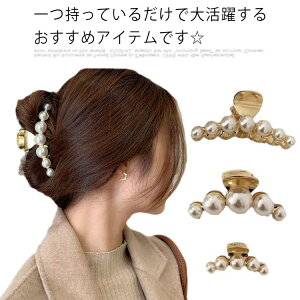 wANbv p[ ~j oX Nbv(3TCYIׂ) S[h AeB[N  wAANZ wAANZT[ ܂Ƃߔ  ؍  傫 i   ꂢ 